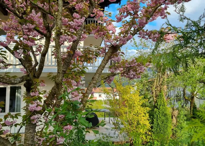 Grosszuegige Mit Terrasse Und Garten דירה